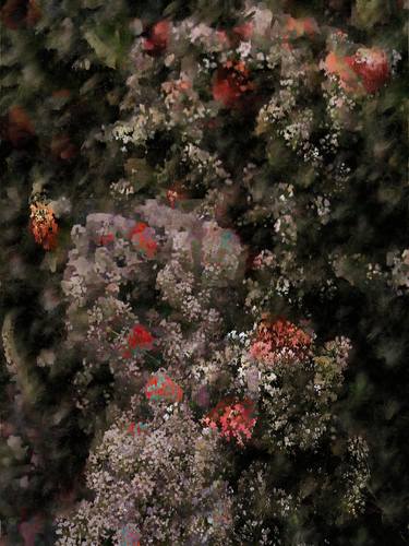 Original Abstract Expressionism Nature Photography by Nasrin Barekat
