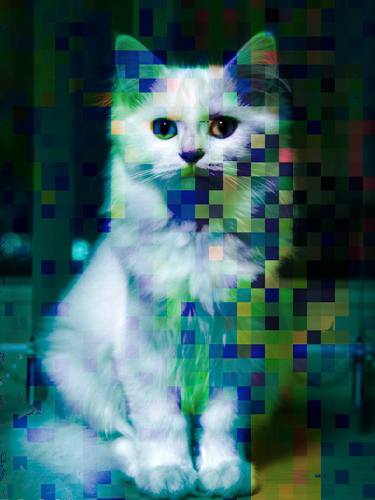 Original Art Deco Animal Photography by Nasrin Barekat