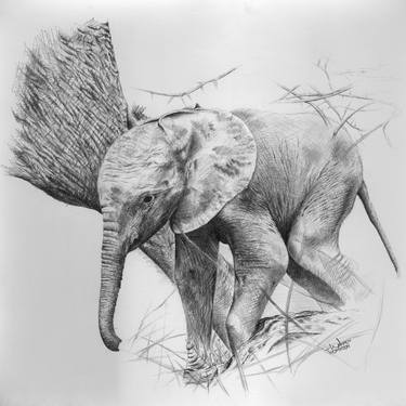 Print of Fine Art Animal Drawings by Warren Thompson