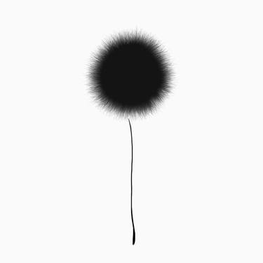 Black dandelion thumb