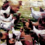 Chickens by Mykhailo Tymchuk