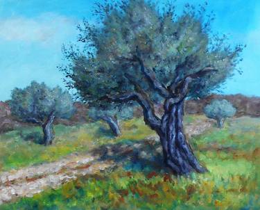 Olive trees thumb