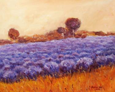Lavender field thumb