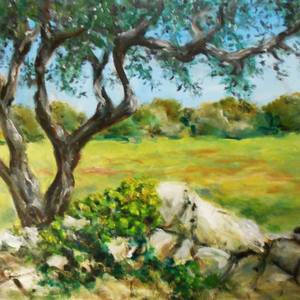 Collection Olive trees