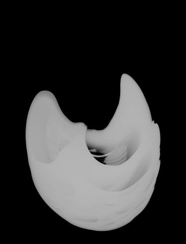 Shell- Black and White X-ray photography, Print/Plexiglass Mount, Artist Proof 1 of 7 thumb
