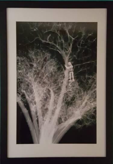 Tree Hugger- Black and White X-ray Photography , framed, signed,Artist Proof thumb