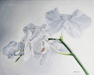 Original Figurative Botanic Paintings by Larain Briggs