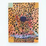 Collection New Sensations Degree Show Portfolio