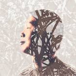 Sensitivity #1 by Maja Scholer
