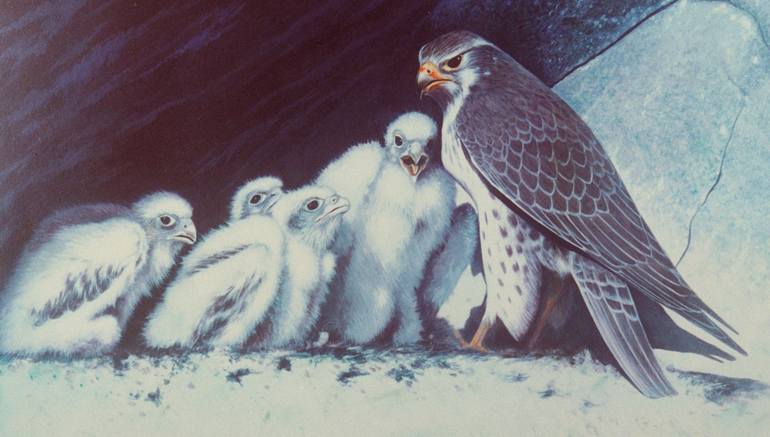 View in a Room Artwork