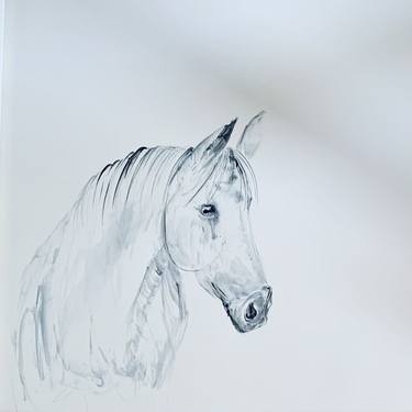 Original Horse Drawings by Wendy Thompson