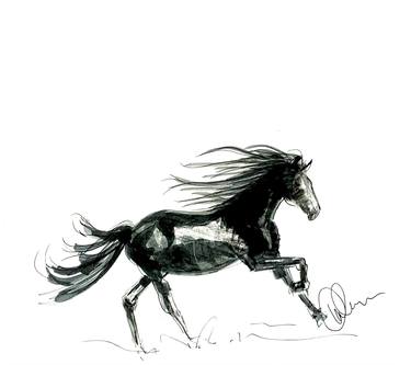 Artist Print Picture Horse Sketch Drawing friesian stallion pencil portrait 