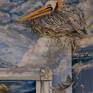 Details: pelican with gem-studded beak and shell fragment as head feathers; nest with gold twine pressed into paint; ship under tail feathers; close up of weathered plinth block with shell as part of architectural decoration;  falling feather is painted.
