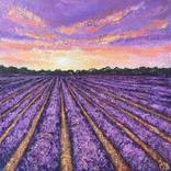 Lavender Sunrise by Colette Baumback