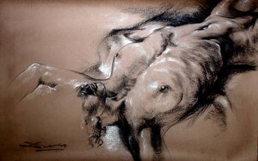 Original Figurative Nude Drawings by Biswajit Das