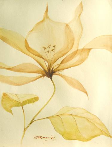 Print of Floral Paintings by Biswajit Das
