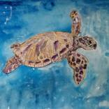 Swimming Turtle by Andrew Whitley