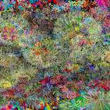 Collection Digital Artworks
