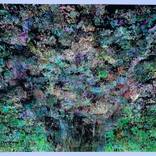 Carlton Gardens - Limited Edition of 20 by Paris Tremayne