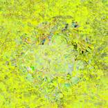 Squidly Seabean in Yellow - Limited Edition of 30 by Paris Tremayne
