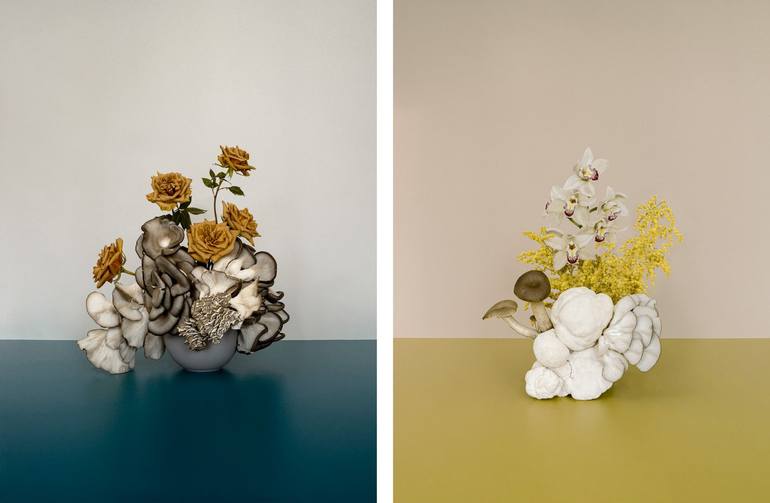 Original Abstract Still Life Photography by Anna Church