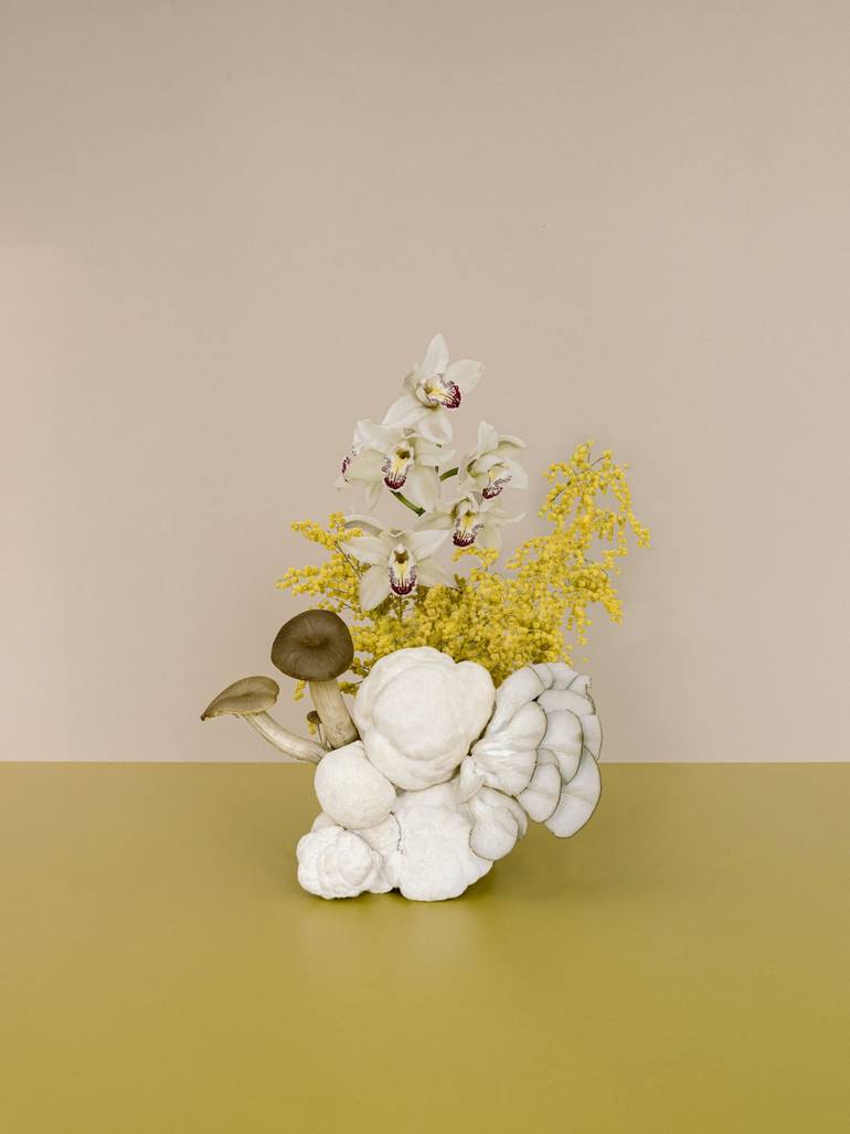 Original Still Life Photography by Anna Church