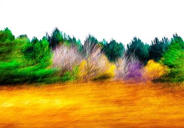 Original Fine Art Landscape Photography by Bruce MacWillson