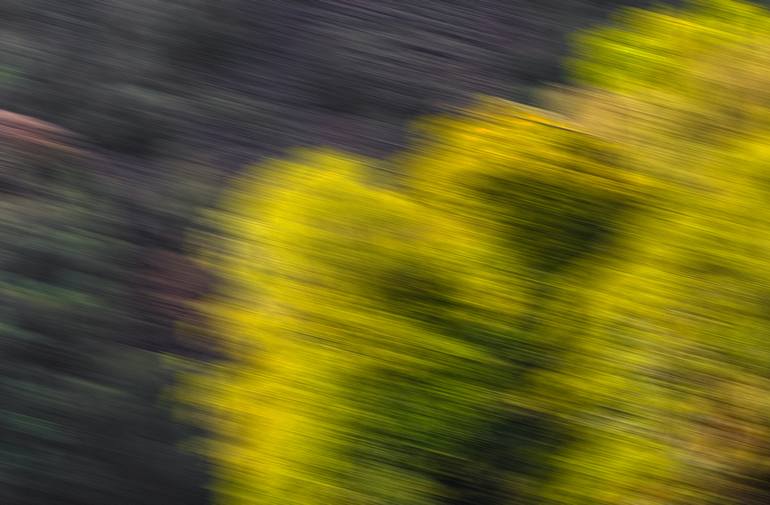 Original Contemporary Landscape Photography by Bruce Macwillson