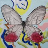 Butterfly white by Daria Zapala