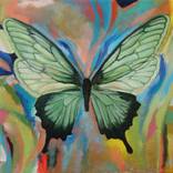 Butterfly Green by Daria Zapala