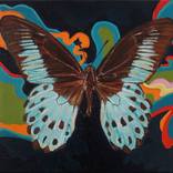 Butterfly Brown and Green by Daria Zapala