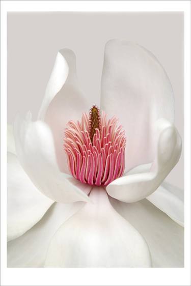 Print of Botanic Photography by Brian R. Haslam