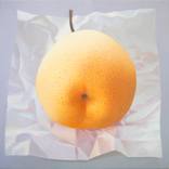 Field 5: Chinese pear on paper by Robert McPartland