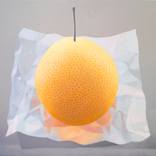 Field.Chinese Pear.Paper.2 by Robert McPartland
