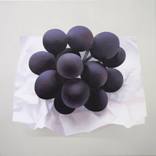 Field 7. Grapes on Paper by Robert McPartland