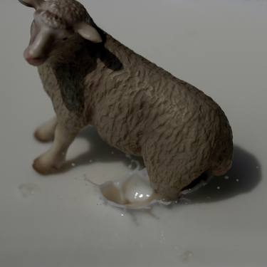 A slippery sheep - Limited Edition Of 5 thumb