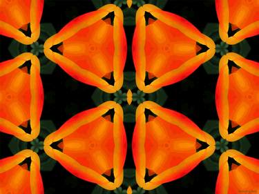 Kaleidoscope Geometry Pattern From Nature 46 thumb