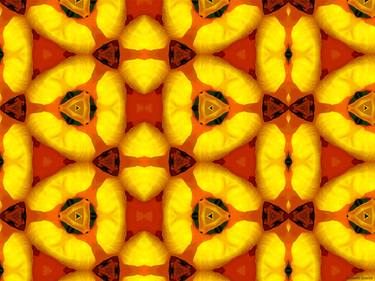 Kaleidoscope Geometry Pattern From Nature 49 thumb