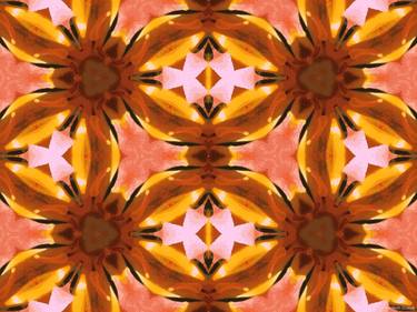 Kaleidoscope Geometry Pattern From Nature 61 thumb