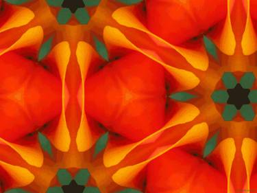 Kaleidoscope Geometry Pattern From Nature 77 thumb