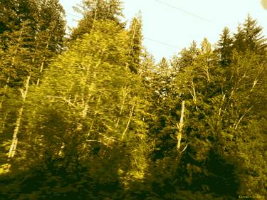 Train Ride, Cascades 1, Eastbound thumb