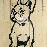 Sit - French Bull Dog by Athol Whitmore