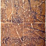 En Mig dels Arbres III - Amid the trees III by Clara Rossy