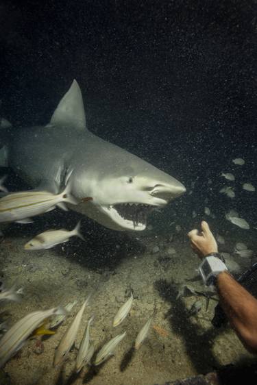 Original Water Photography by Zac Macaulay