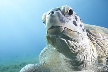 Original Documentary Water Photography by Zac Macaulay