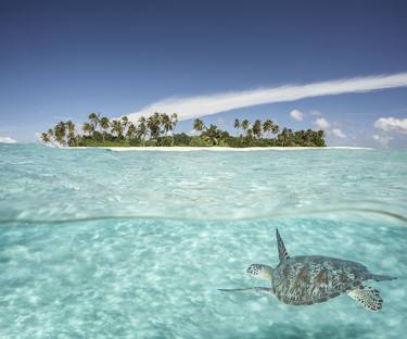 Hawksbill Turtle in the Maldives - limited edition of 20 thumb