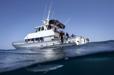 Blue Shark Circling our Dive Boat - limited edition of 20 thumb