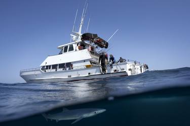 Blue Shark Circling our Boat - Limited Edition 1 of 45 thumb