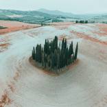 Tuscany - San Quirico d'Orcia 1 by Mitia Dedoni