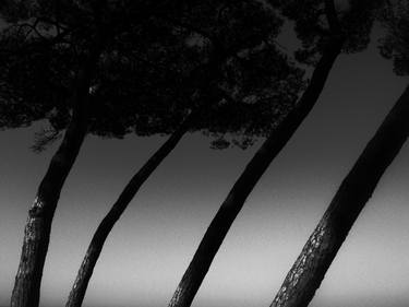 Print of Fine Art Landscape Photography by Mitia Dedoni